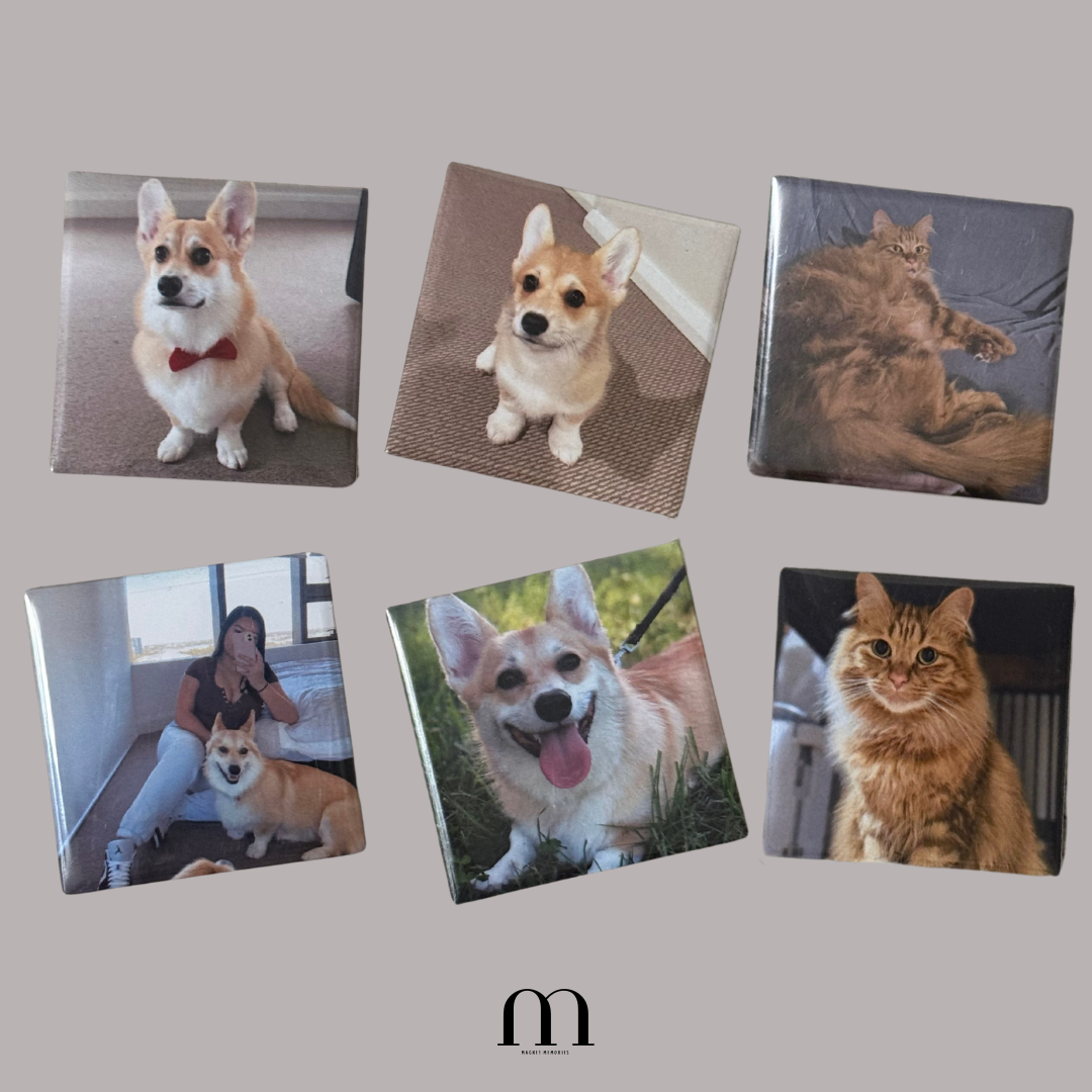 Custom Photo Magnets