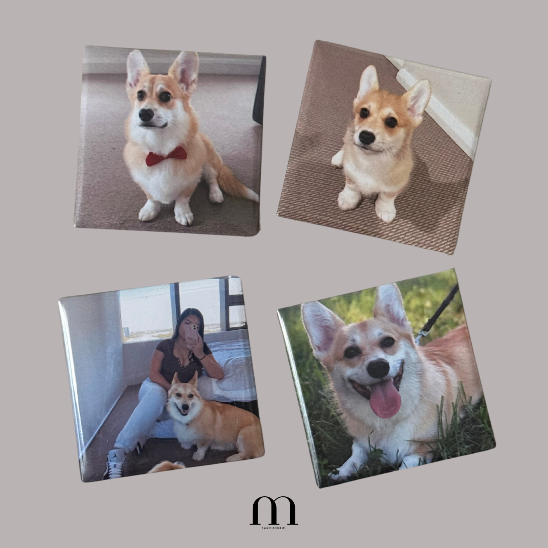 Custom Photo Magnets - BULK Orders
